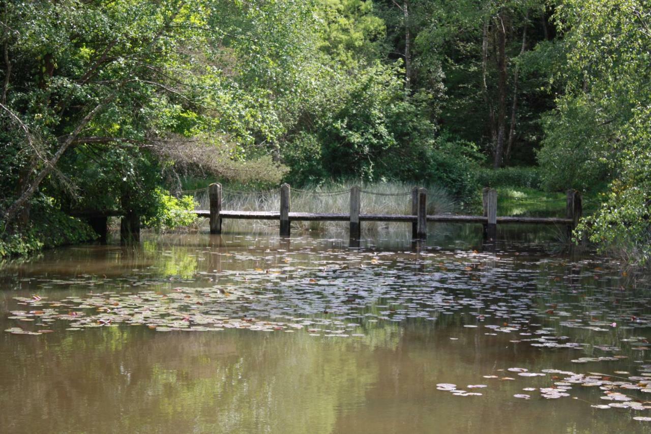 Spruce Lake Sauviat-sur-Vige Dış mekan fotoğraf